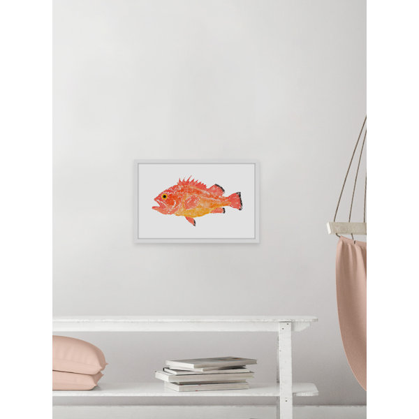 Marmont Hill Yelloweye Rockfish Framed On Paper by Michael Pantalos